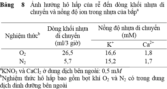 Ảnh hưởng hô hấp của rễ đến dòng khối nhựa di chuyển và nồng độ ion trong nhựa của bắp