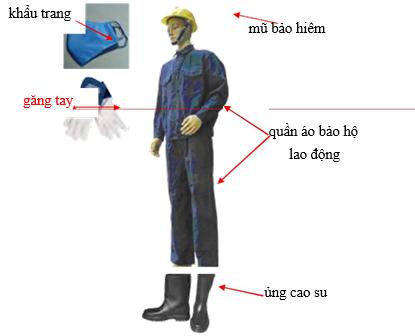 Bảo hộ lao động