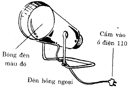 Đèn hồng ngoại