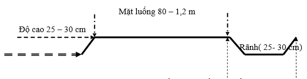 Kích thước luống gieo trồng cà rốt