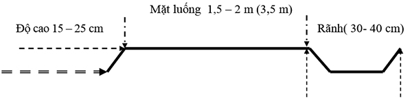 Kích thước luống trồng bí