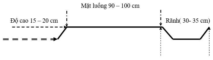 Lên luống trồng cà chua vụ khô