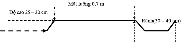 Kích thước luống trồng bầu