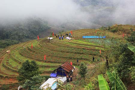 Khu ruộng bậc thang trước đây chỉ trồng một vụ lúa giờ xanh mướt các loại rau vụ đông