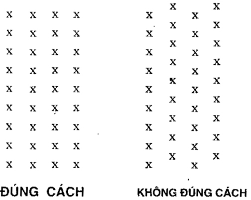 Khoảng cách trồng thanh long