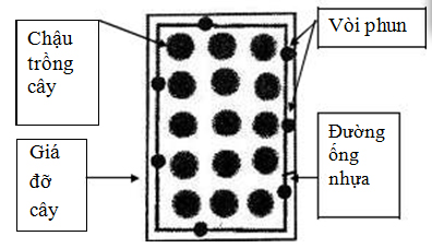 Sơ đồ tưới xung quanh