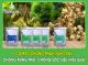 COMBO CHỐNG PHÂN TẦNG RỜI: Chống rụng trái, chống sốc siêu hiệu quả