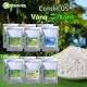 COMBO COMBI 05: Biến vàng thành xanh