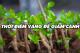 Thời điểm vàng để giâm cành