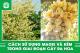 Cách sử dụng magie và kẽm trong giai đoạn cây ra hoa
