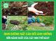 Dinh dưỡng mất cân đối ảnh hưởng đến năng suất của cây như thế nào?